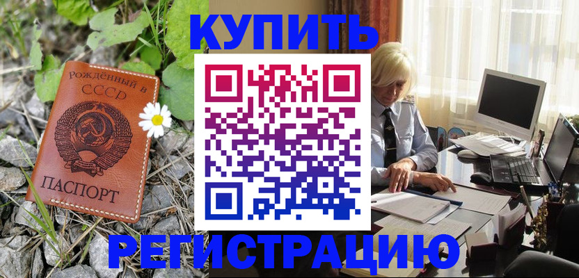 временная регистрация недорого в Палласовке